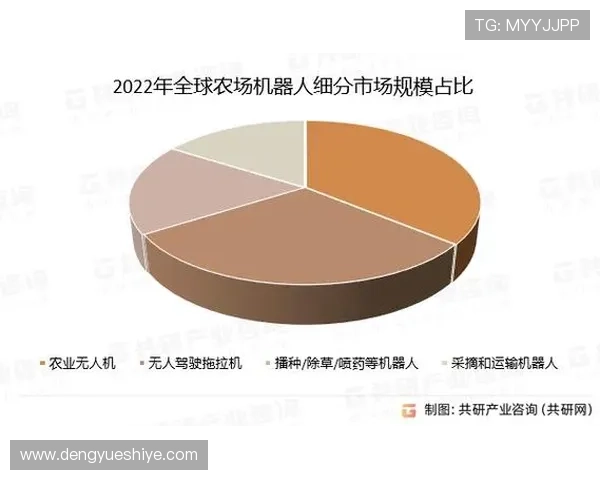 深入探讨ag亚游国际市场的主要竞争格局与市场份额变化